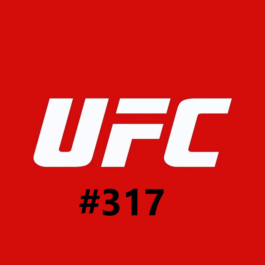 UFC #317